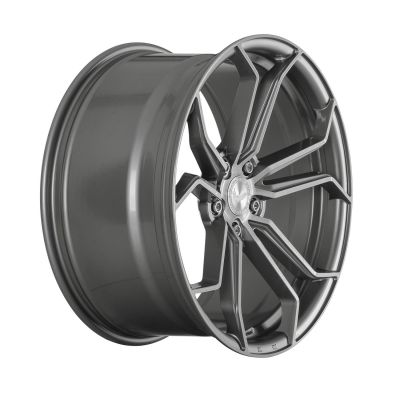 BARRACUDA PROJECT ONE Silver-Brushed-Surface