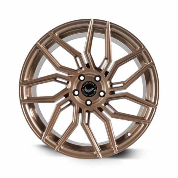 BARRACUDA DRAGOON Higloss-Bronze