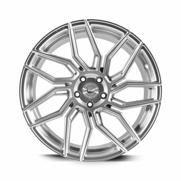 BARRACUDA DRAGOON Silver